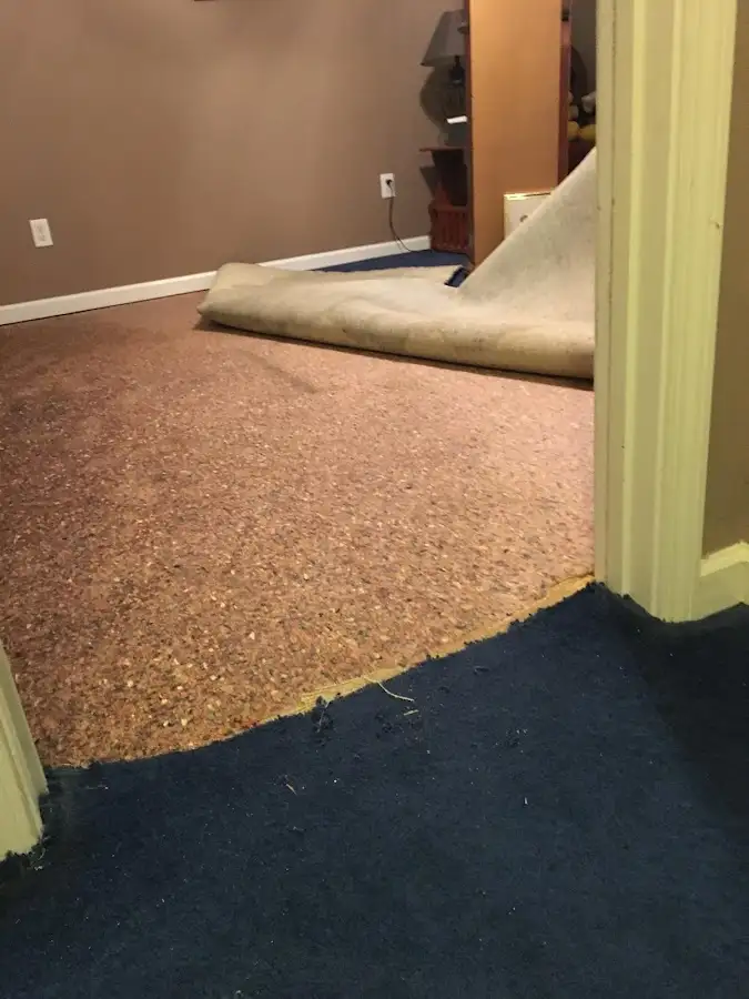 Carpet pad removal revealing water damage during Water Mitigation Services in Travilah