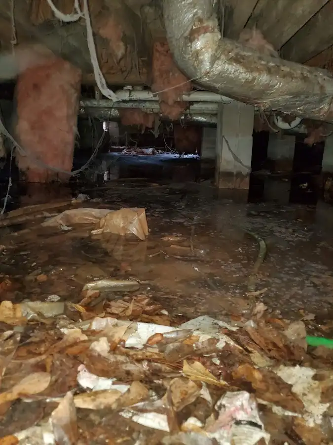 Crawl space flood assessment for Commercial Water Damage Restoration in Travilah