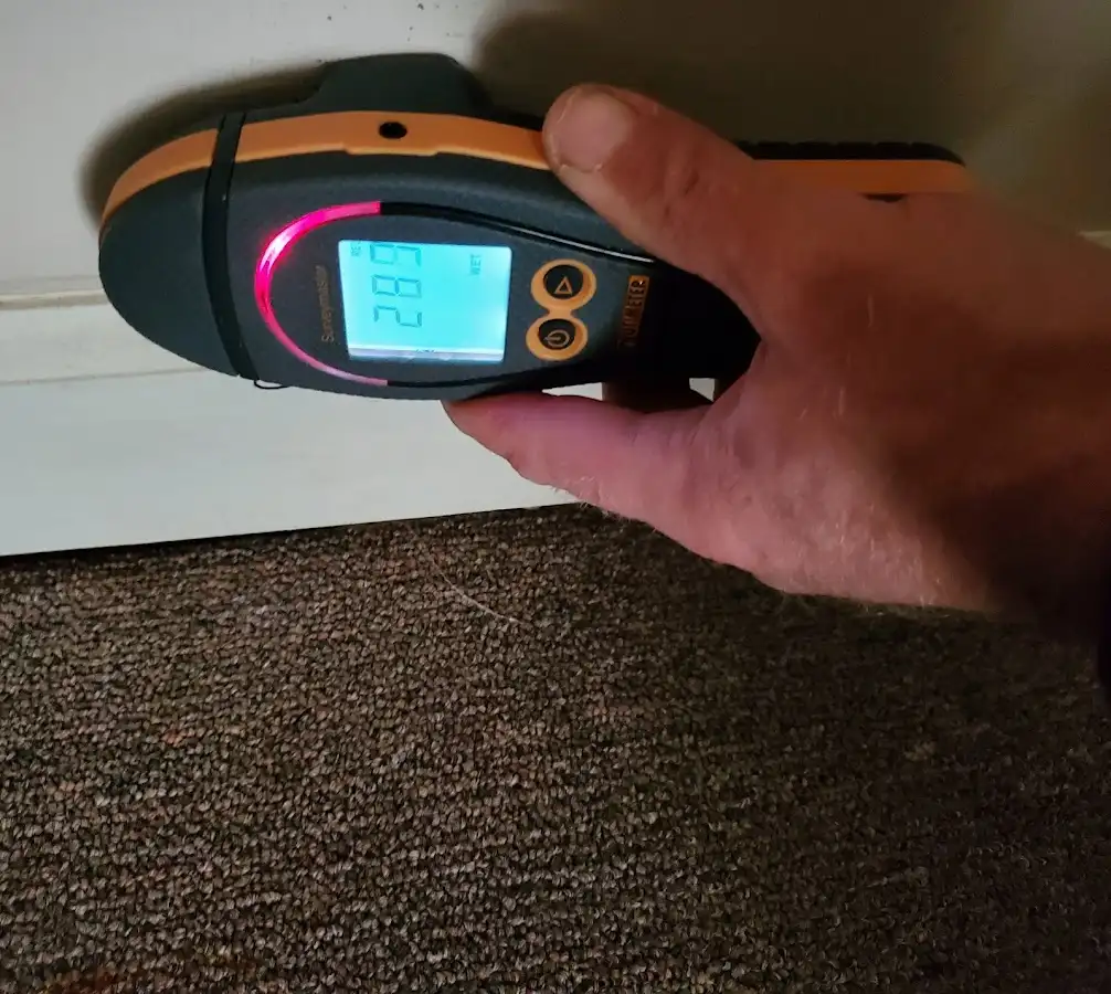 Moisture detection at baseboard during Burst Pipe Cleanup in Travilah